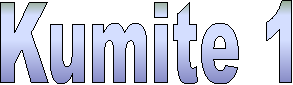 Kumite 1